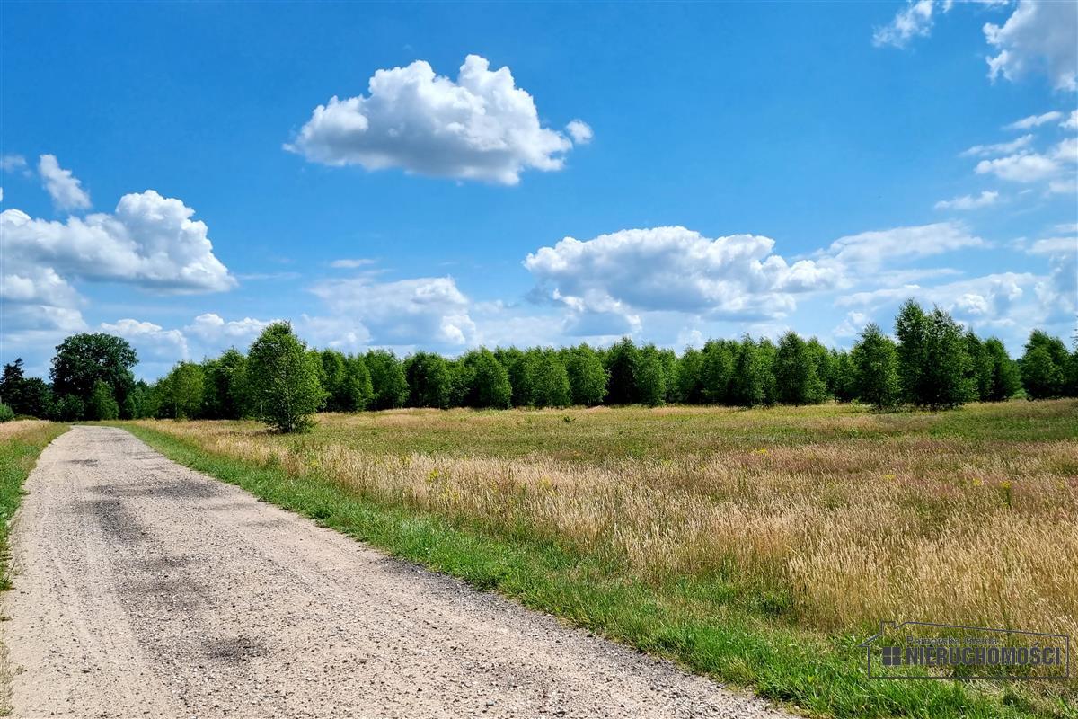 Sprzedaż Działka budowlana Kowalki