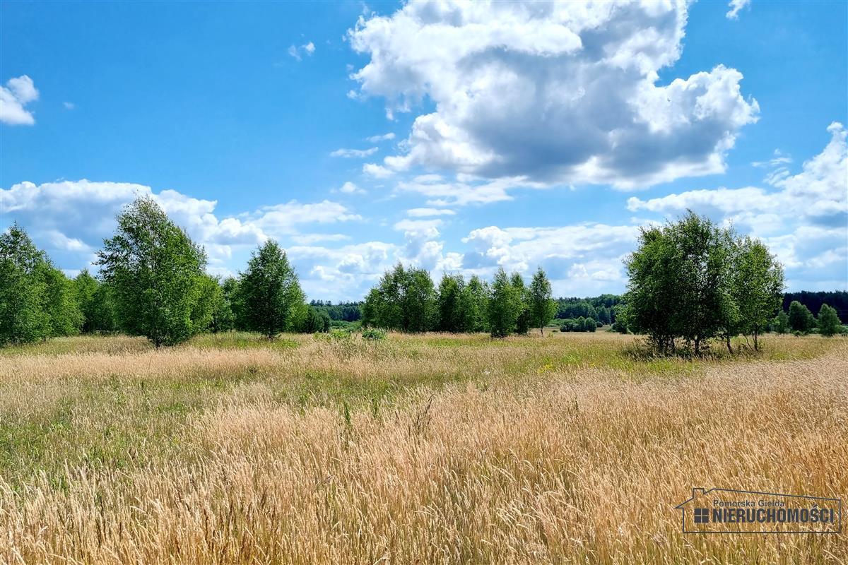 Sprzedaż Działka budowlana Kowalki