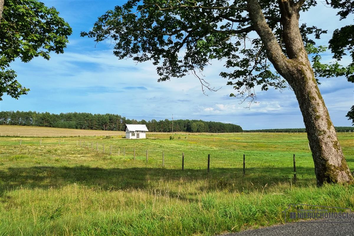 Sprzedaż Działka budowlana Drężno