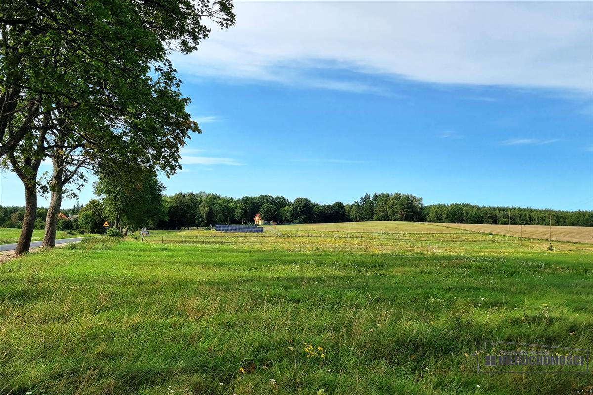 Sprzedaż Działka budowlana Drężno