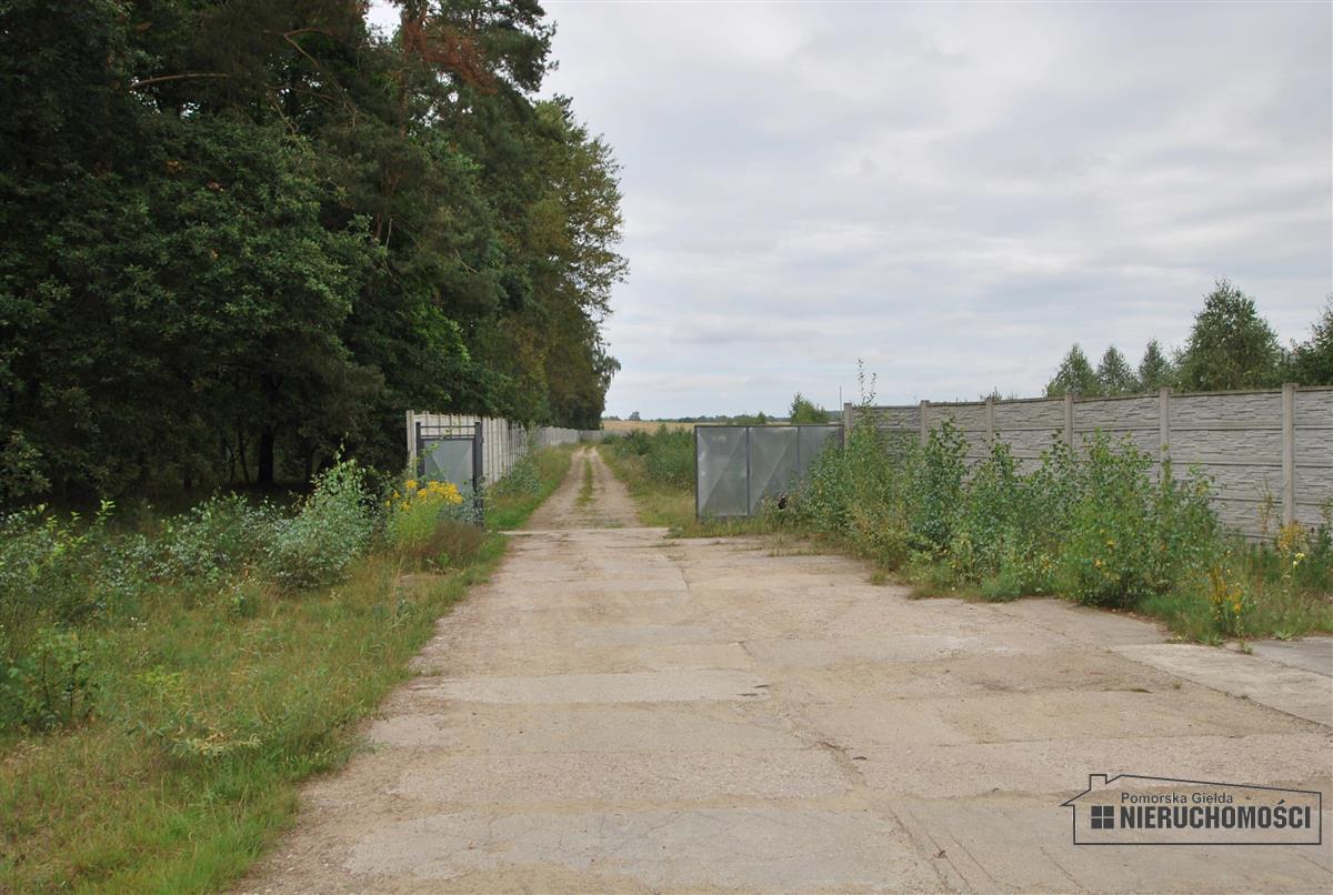 Wynajem Magazyn Turowo
