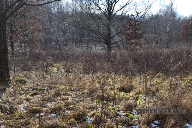 Sprzedaż Działka usługowa Szczecinek