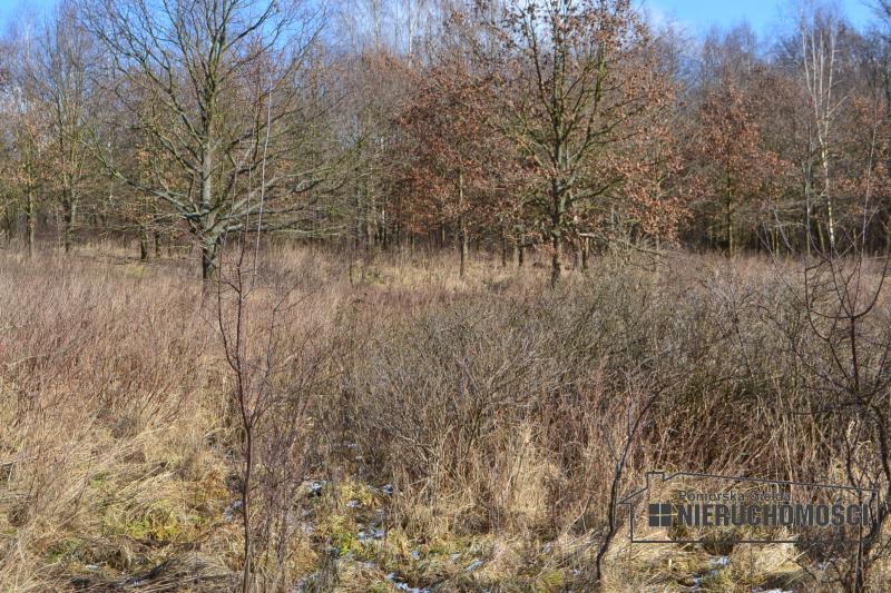 Sprzedaż Działka usługowa Szczecinek