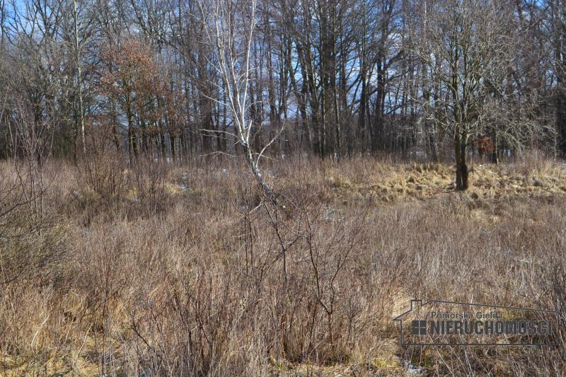 Sprzedaż Działka usługowa Szczecinek