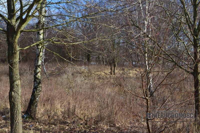 Sprzedaż Działka usługowa Szczecinek