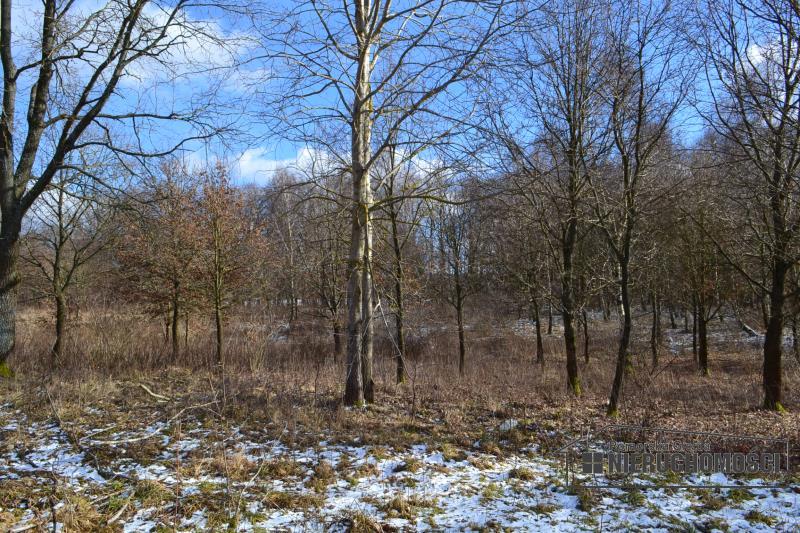 Sprzedaż Działka usługowa Szczecinek