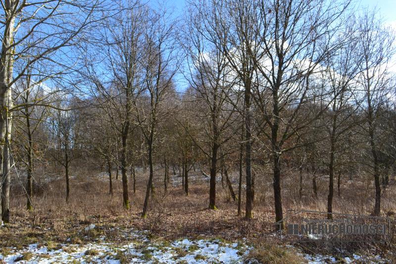 Sprzedaż Działka usługowa Szczecinek