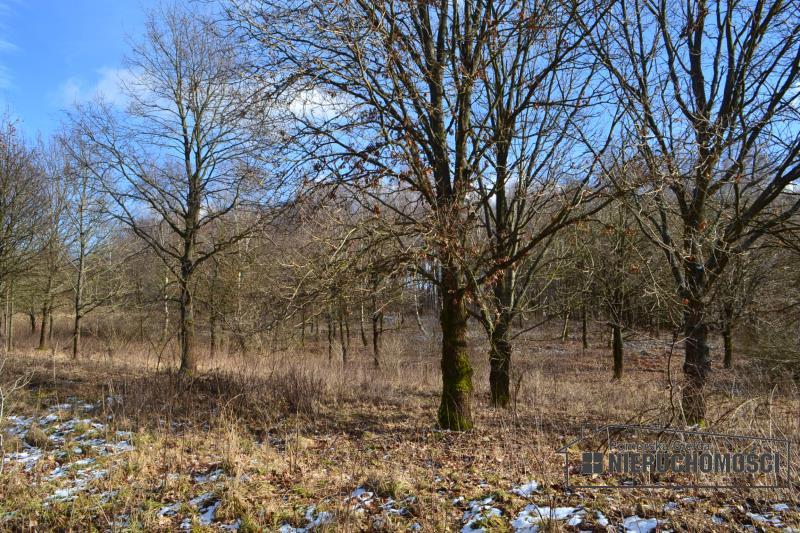 Sprzedaż Działka usługowa Szczecinek