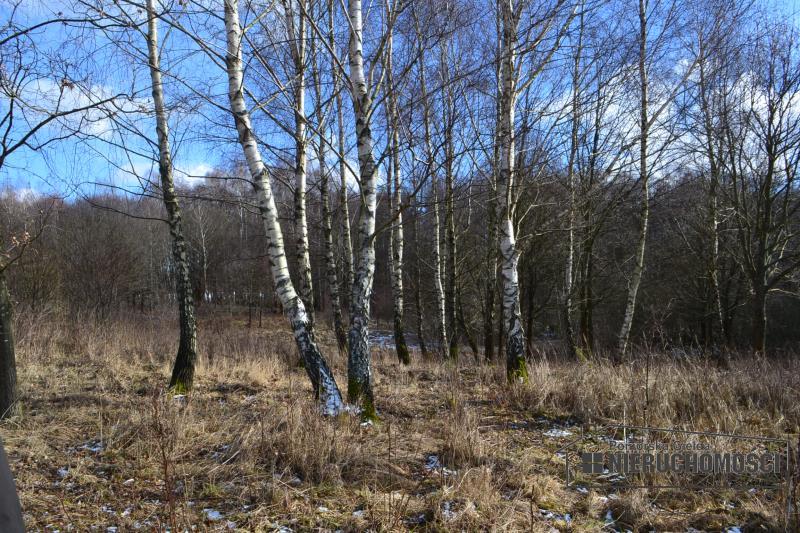 Sprzedaż Działka usługowa Szczecinek