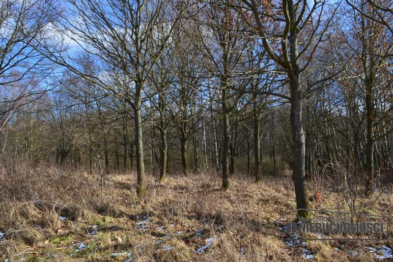 Sprzedaż Działka usługowa Szczecinek