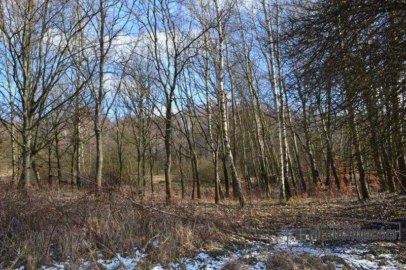 Sprzedaż Działka usługowa Szczecinek