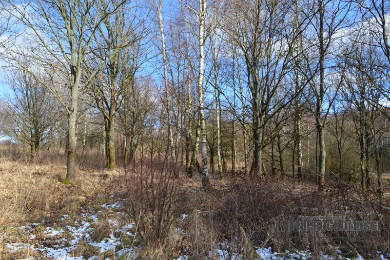 Sprzedaż Działka usługowa Szczecinek