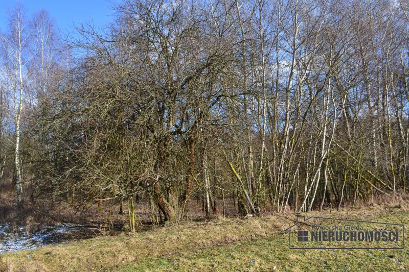 Sprzedaż Działka usługowa Szczecinek