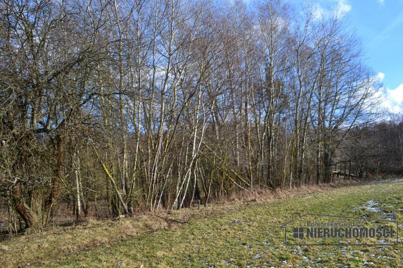 Sprzedaż Działka usługowa Szczecinek