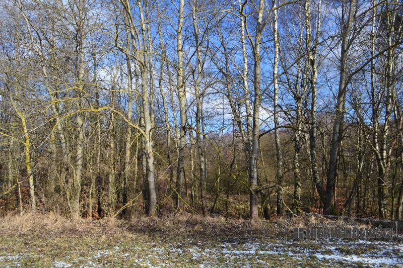 Sprzedaż Działka usługowa Szczecinek