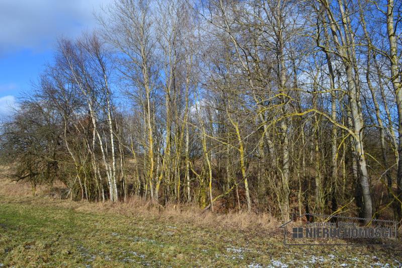 Sprzedaż Działka usługowa Szczecinek