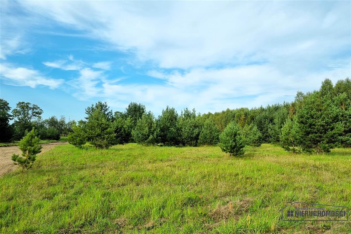 Sprzedaż Działka budowlana Dołgie
