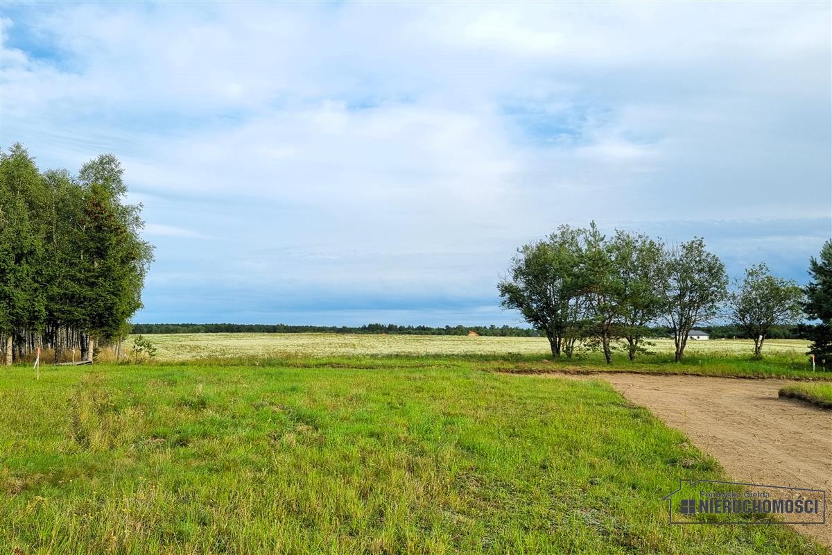 Sprzedaż Działka budowlana Dołgie