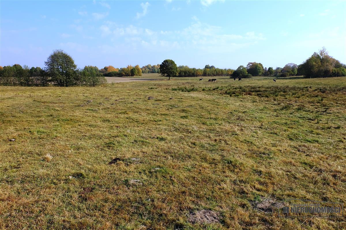 Sprzedaż Działka budowlana Mieszałki