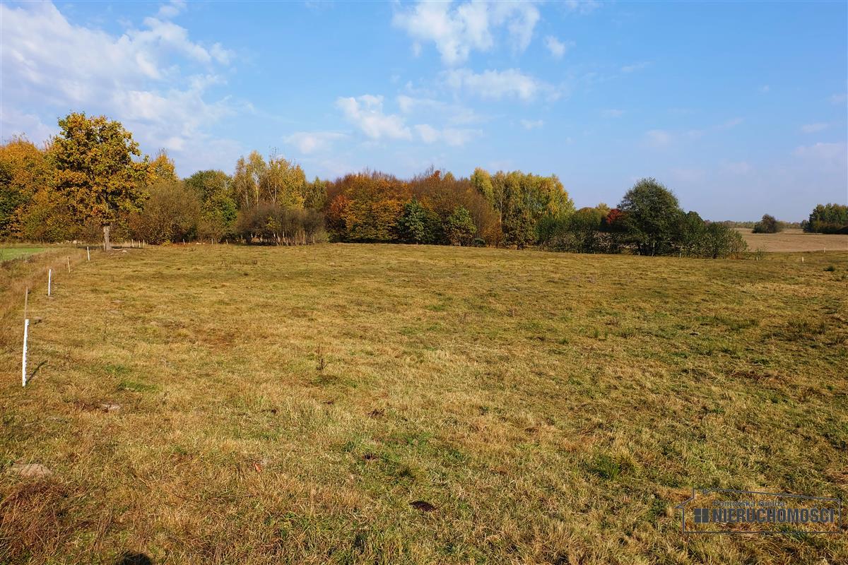 Sprzedaż Działka budowlana Mieszałki
