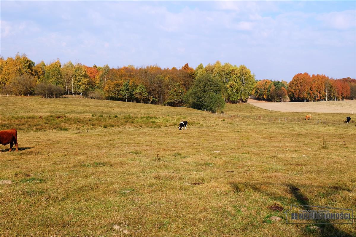 Sprzedaż Działka budowlana Mieszałki