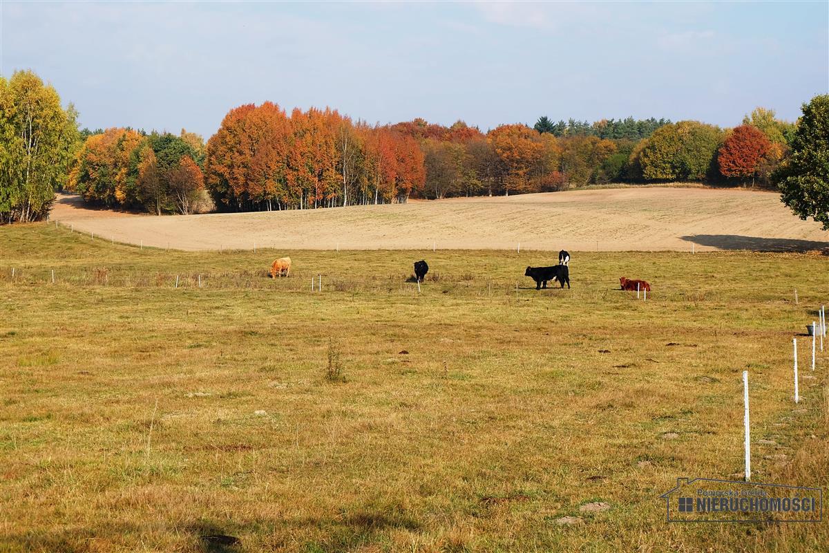 Sprzedaż Działka budowlana Mieszałki