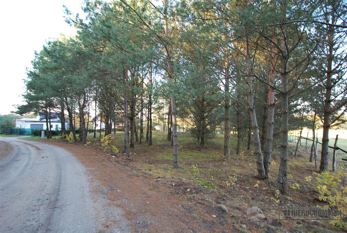 Sprzedaż Działka budowlana Spore