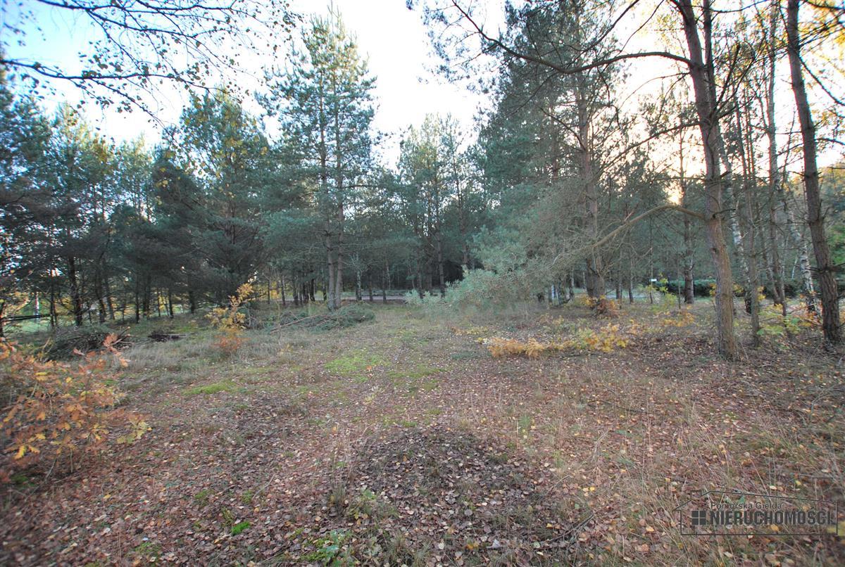 Sprzedaż Działka budowlana Spore