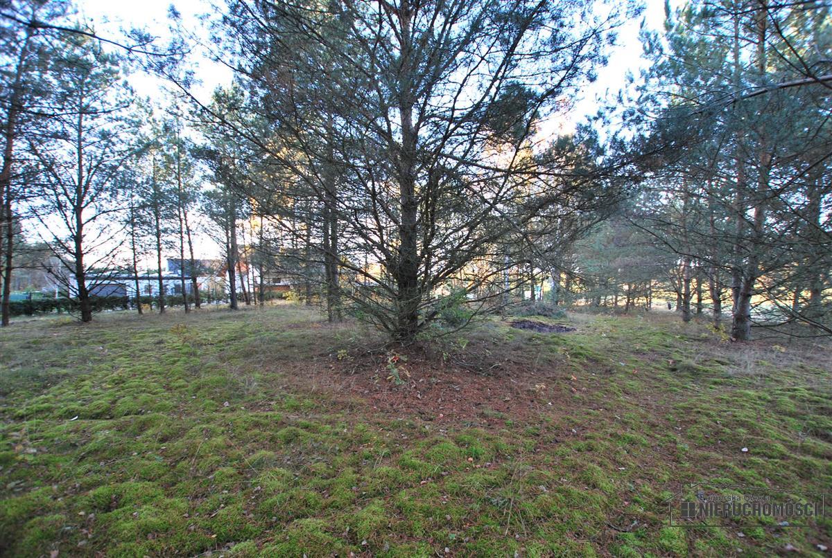 Sprzedaż Działka budowlana Spore