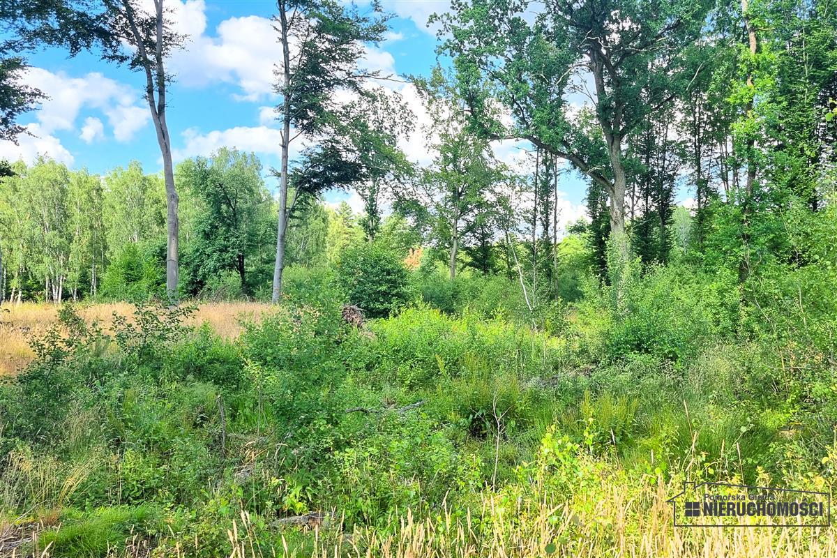 Sprzedaż Działka budowlana Knyki