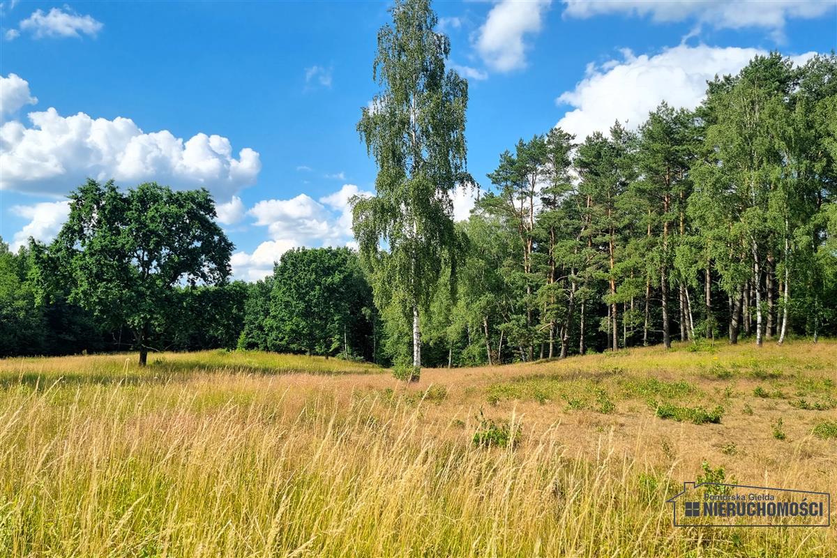 Sprzedaż Działka budowlana Knyki