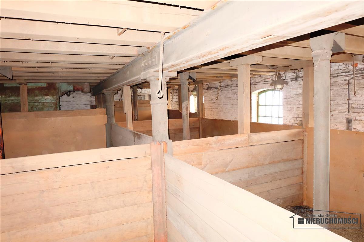 Sprzedaż Magazyn Szczecinek