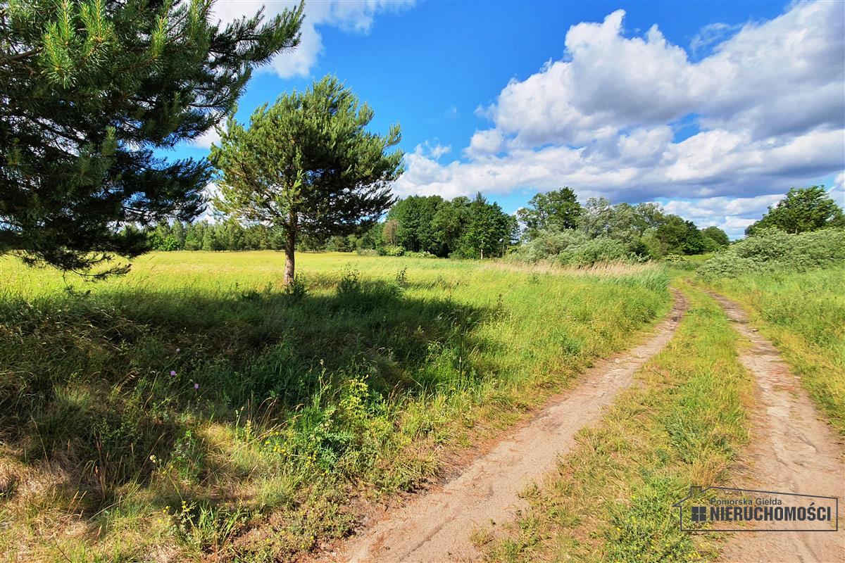 Sprzedaż Działka siedliskowa Gwda Wielka