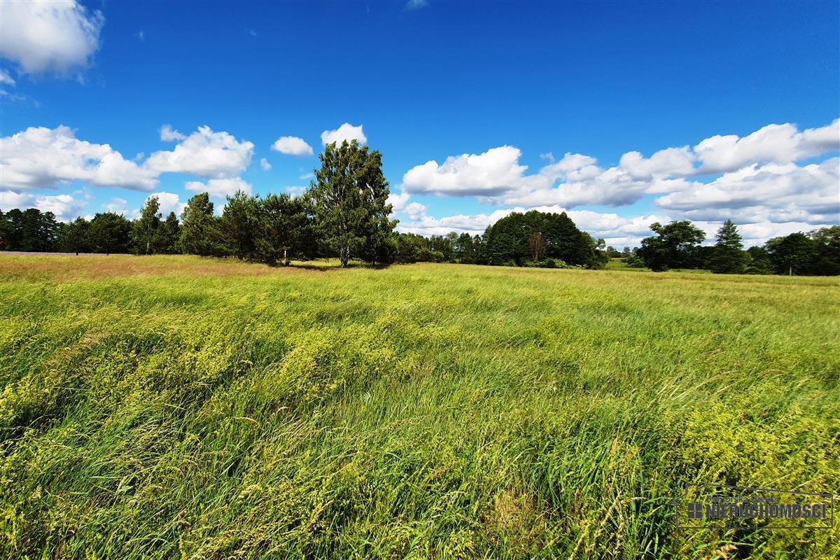 Sprzedaż Działka siedliskowa Gwda Wielka