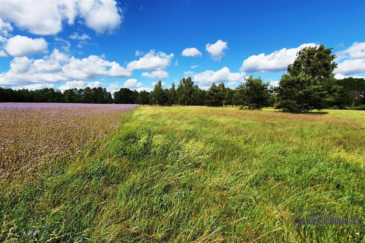 Sprzedaż Działka siedliskowa Gwda Wielka