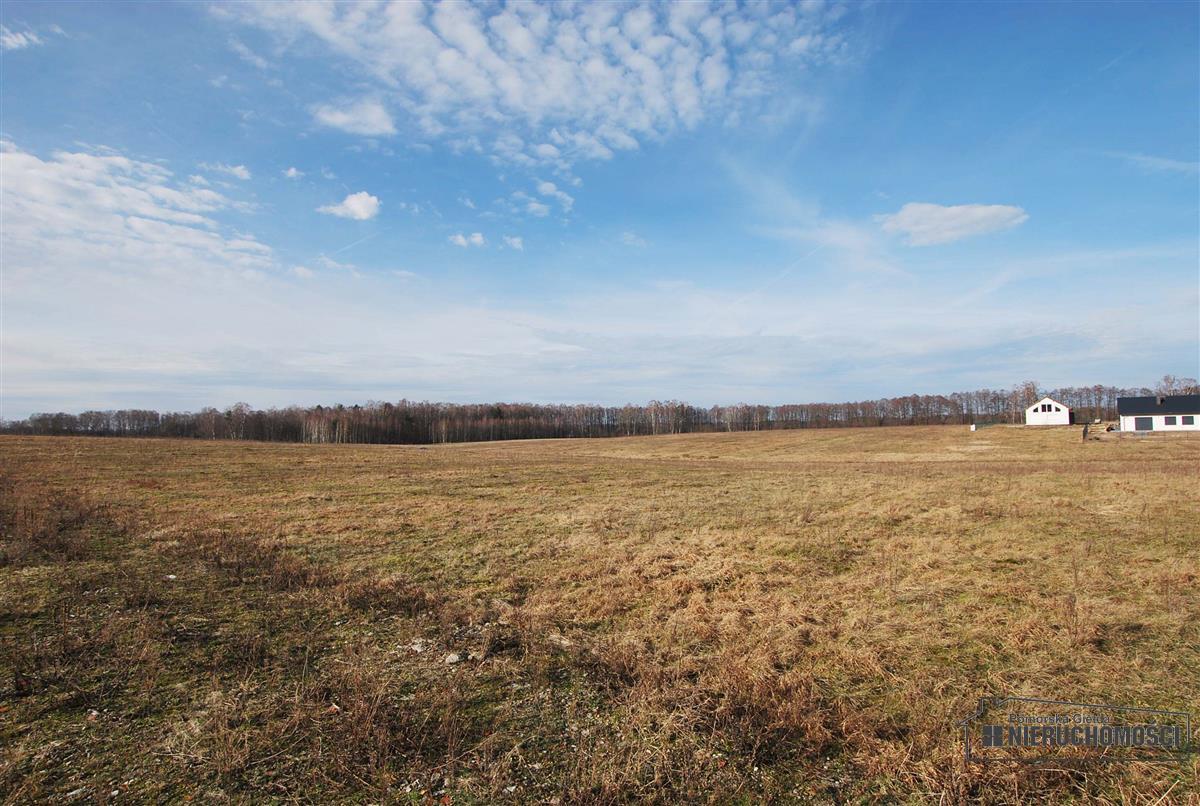 Sprzedaż Działka budowlana Wierzchowo