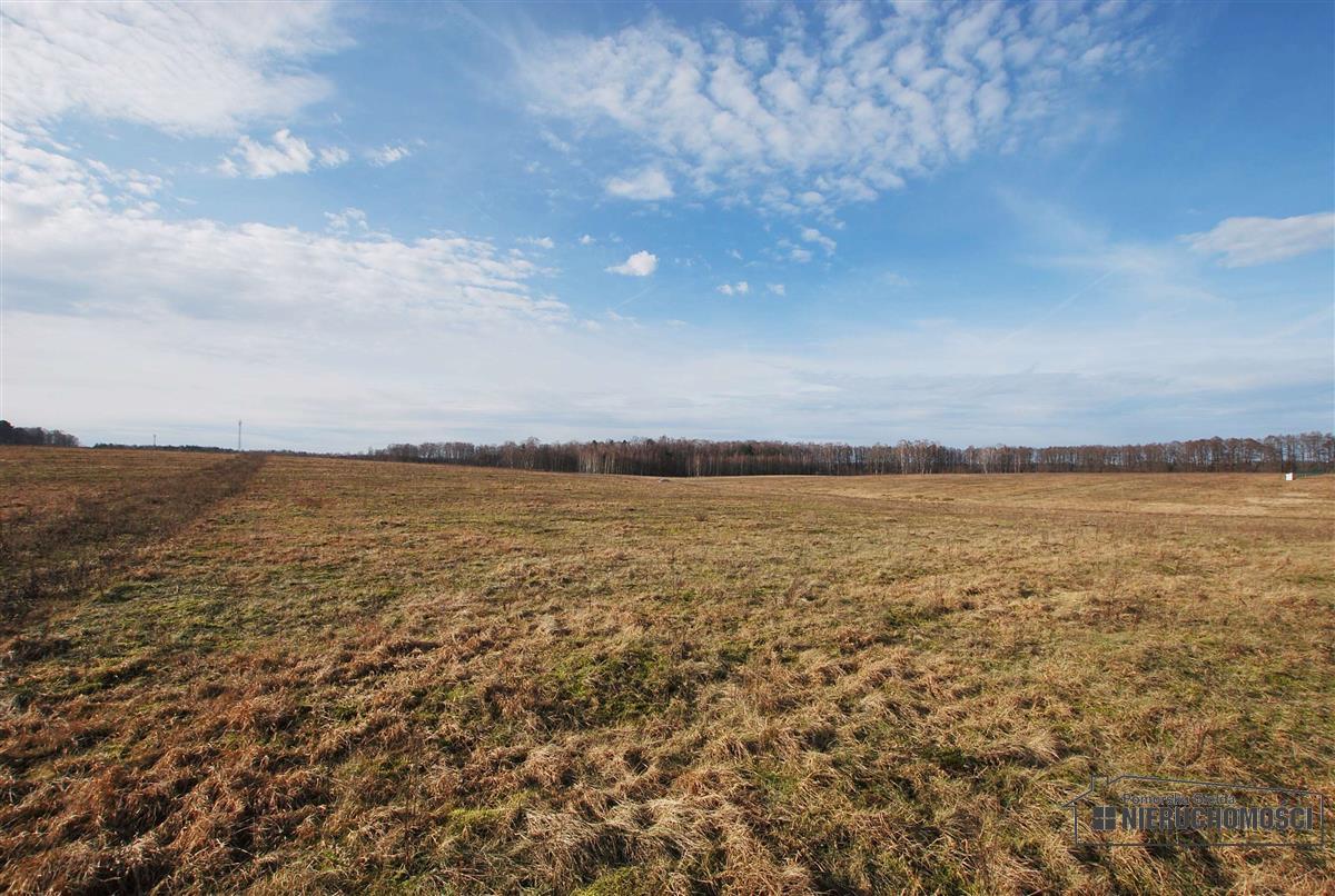 Sprzedaż Działka budowlana Wierzchowo