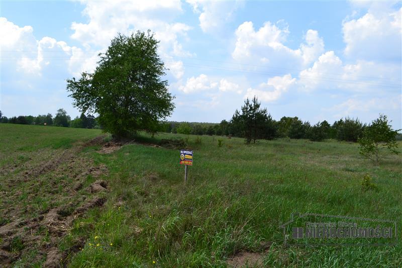 Sprzedaż Działka rolna Nobliny