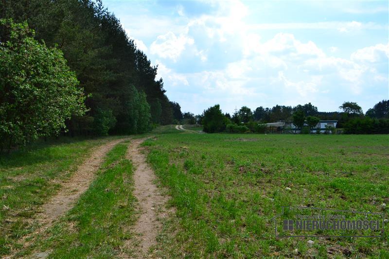 Sprzedaż Działka rolna Nobliny