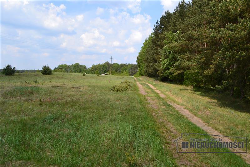 Sprzedaż Działka rolna Nobliny