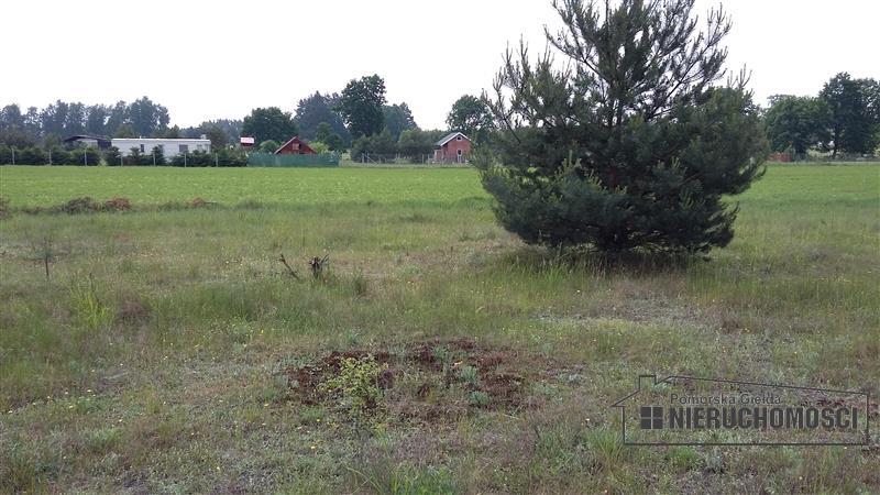 Sprzedaż Działka rolna Nobliny