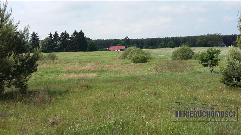 Sprzedaż Działka rolna Nobliny