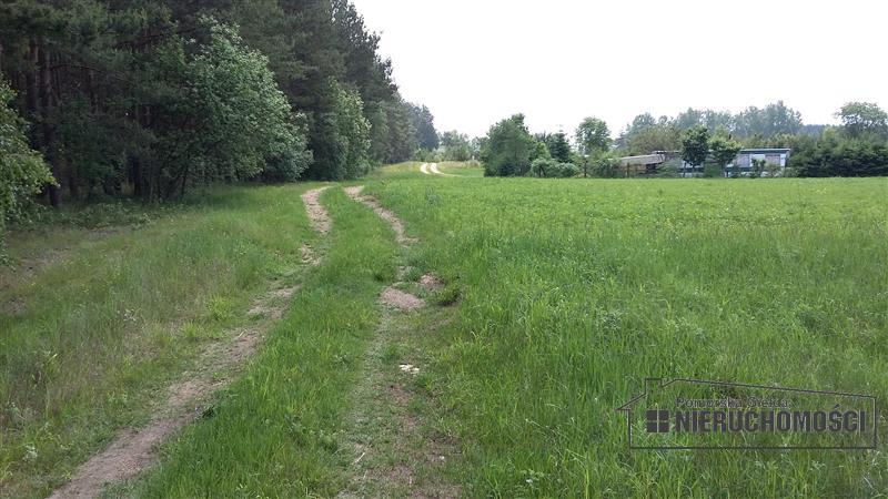 Sprzedaż Działka rolna Nobliny