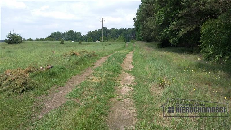 Sprzedaż Działka rolna Nobliny