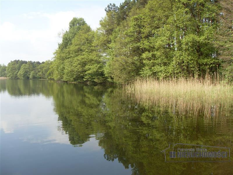 Sprzedaż Działka rolna Nobliny