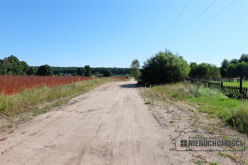 Sprzedaż Działka rolna Nobliny