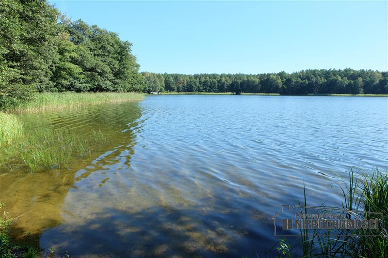 Sprzedaż Działka rolna Nobliny