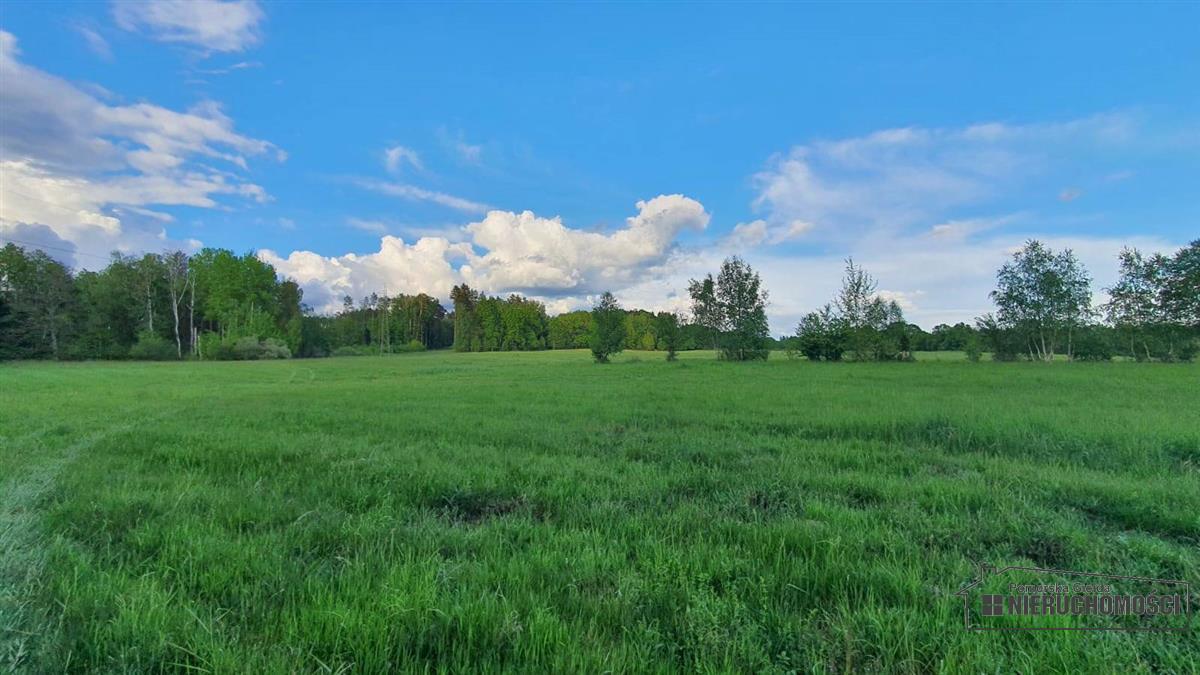 Sprzedaż Działka rolna Pobądz