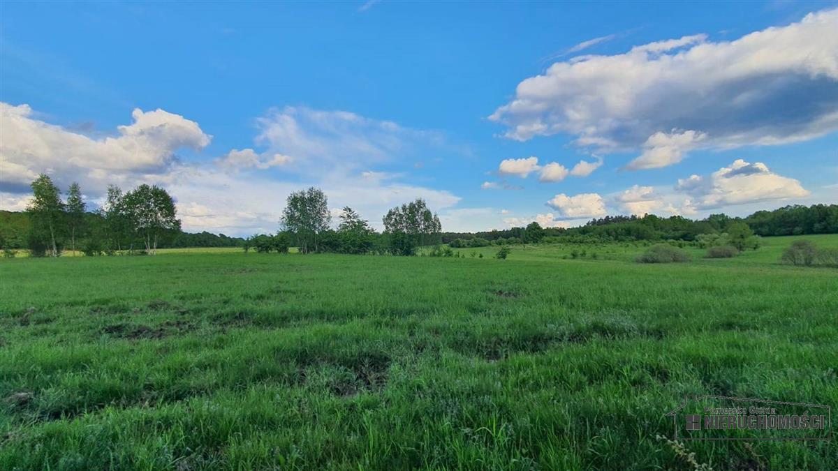 Sprzedaż Działka rolna Pobądz
