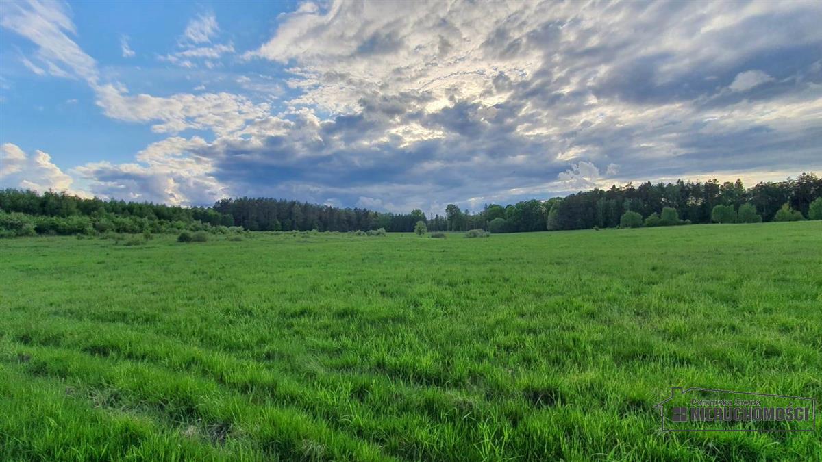 Sprzedaż Działka rolna Pobądz